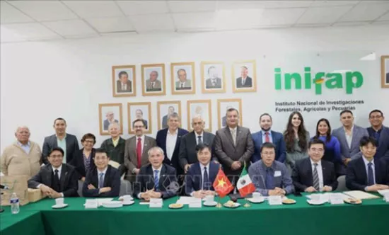Promoting substantive and sustainable Vietnam – Mexico sgricultural cooperation, strengthening training linkages, and ensuring water security